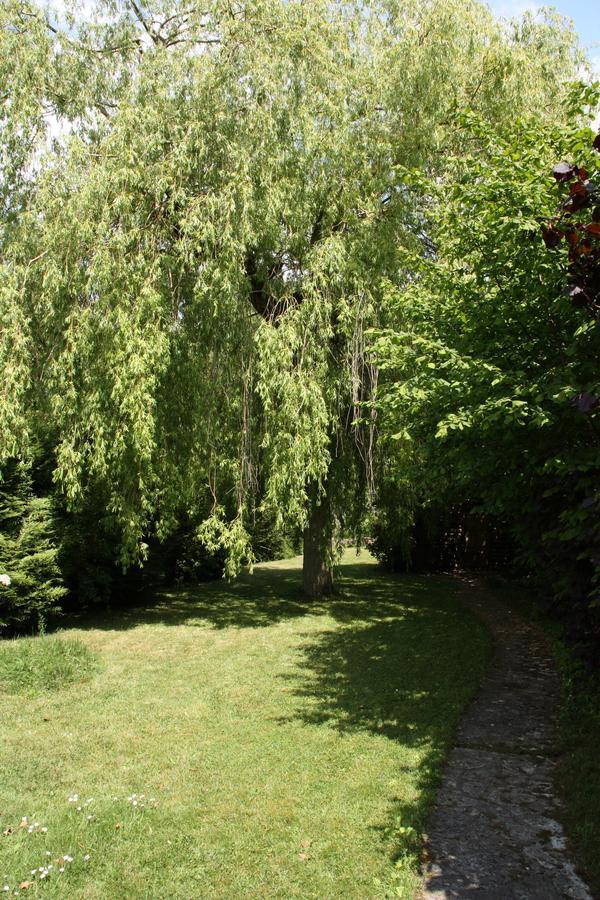 Le Cottage - Chambres D'Hotes Paris Saclay 伊薇特河畔比尔 外观 照片